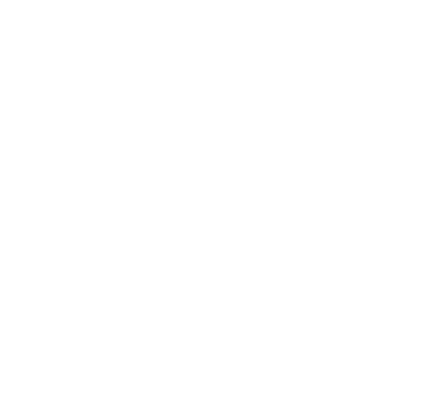 The Magic Flute