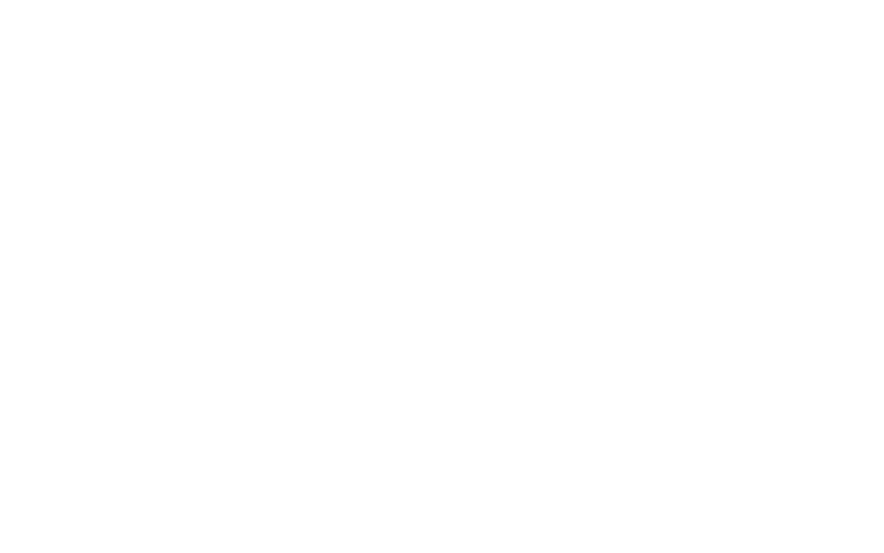 The Flying Dutchman